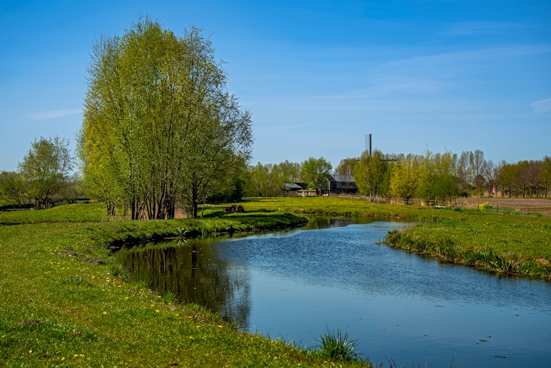 Afbeelding van Nederland