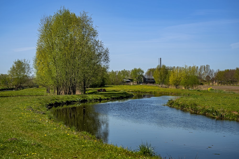 green grass field near lake under blue sky during daytime