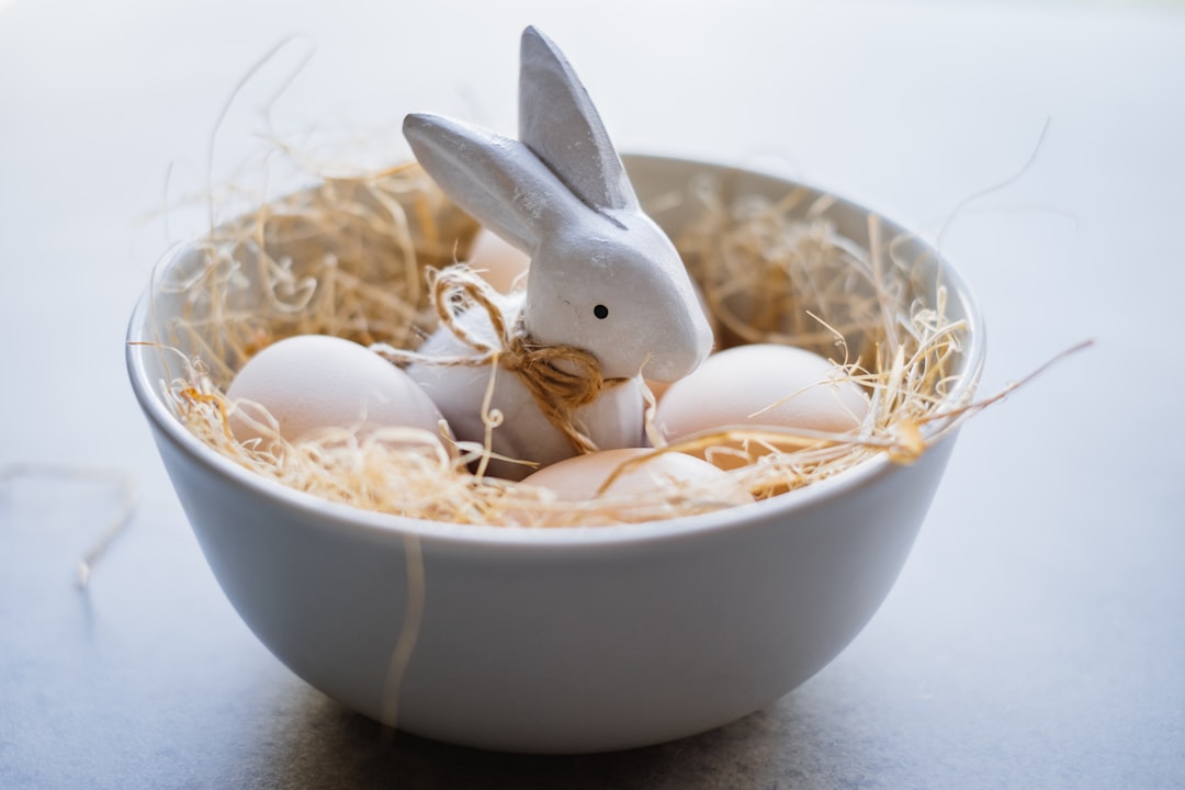 white rabbit in white ceramic bowl
