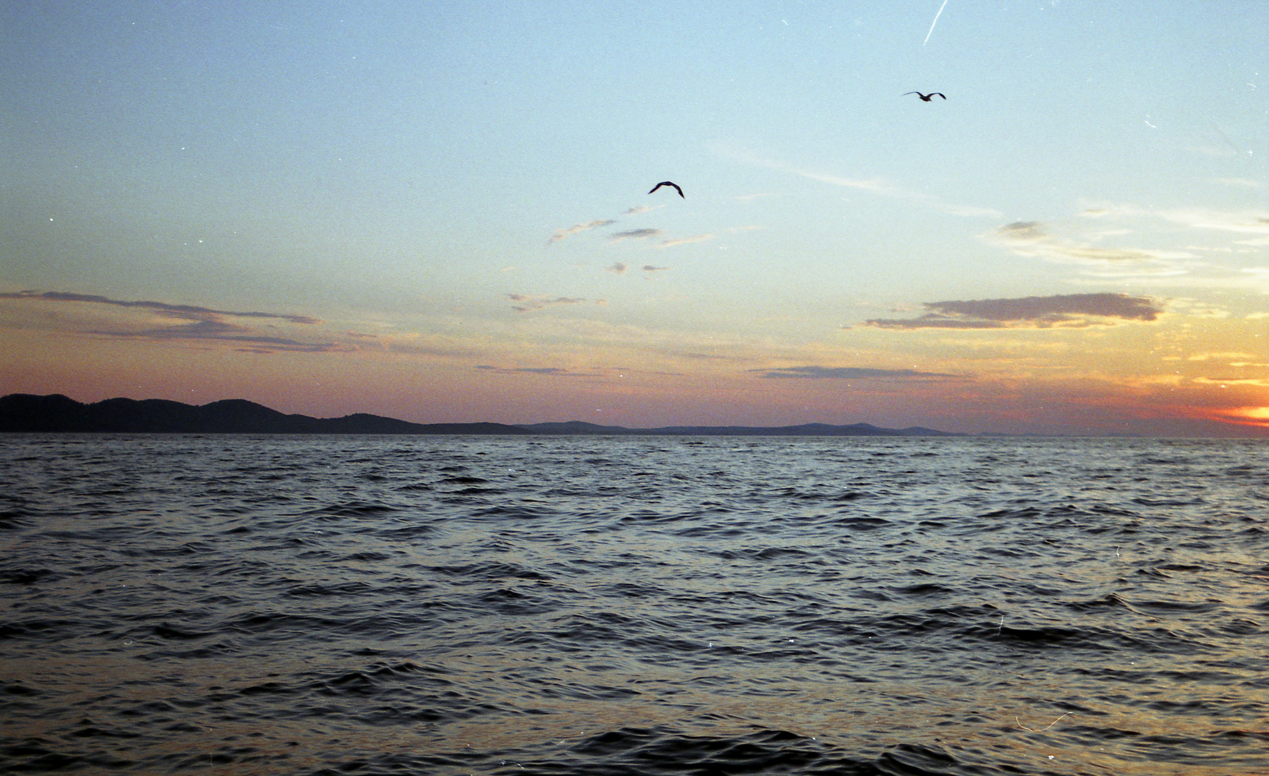 Photo by babikacharava