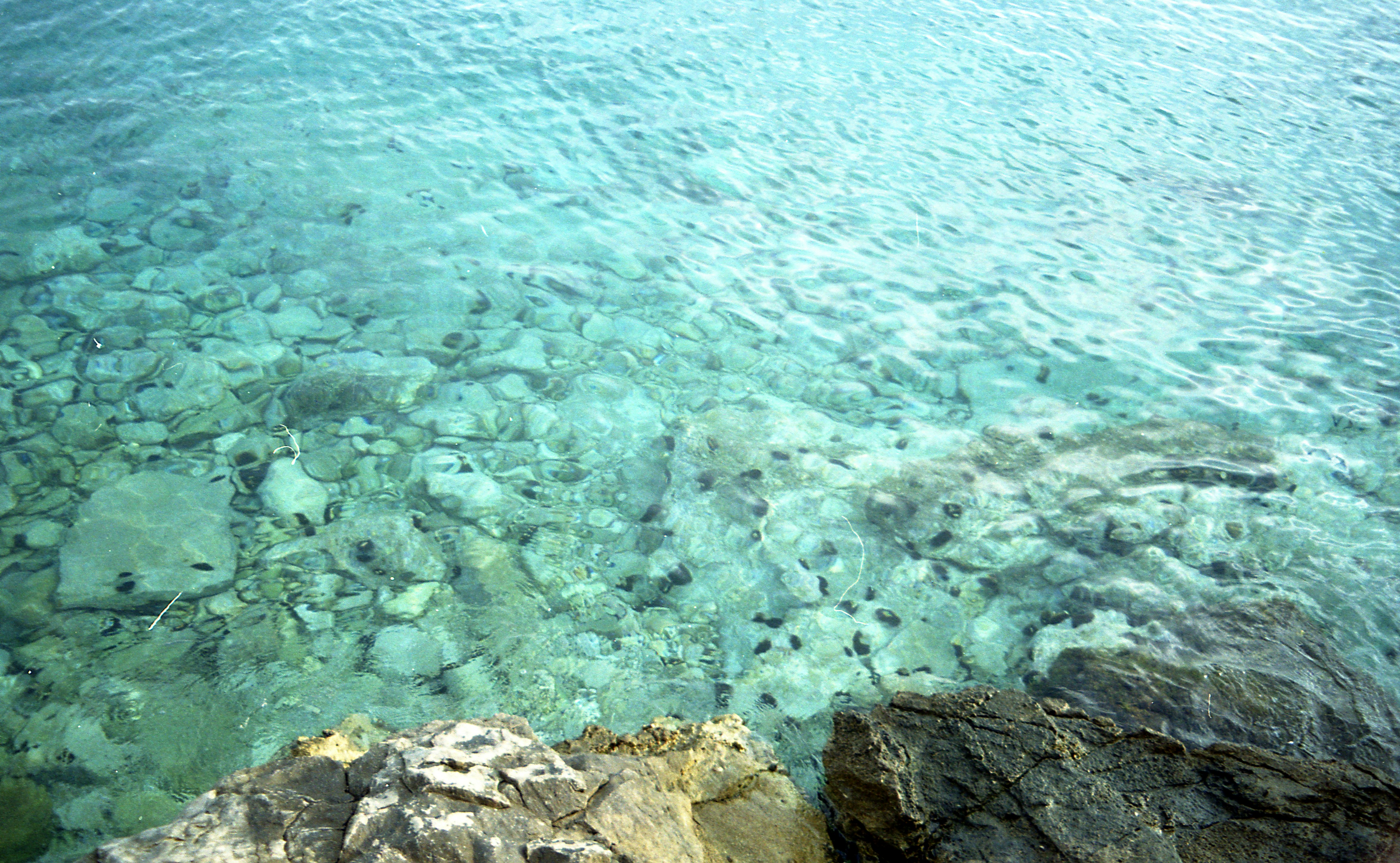 Photo by babikacharava