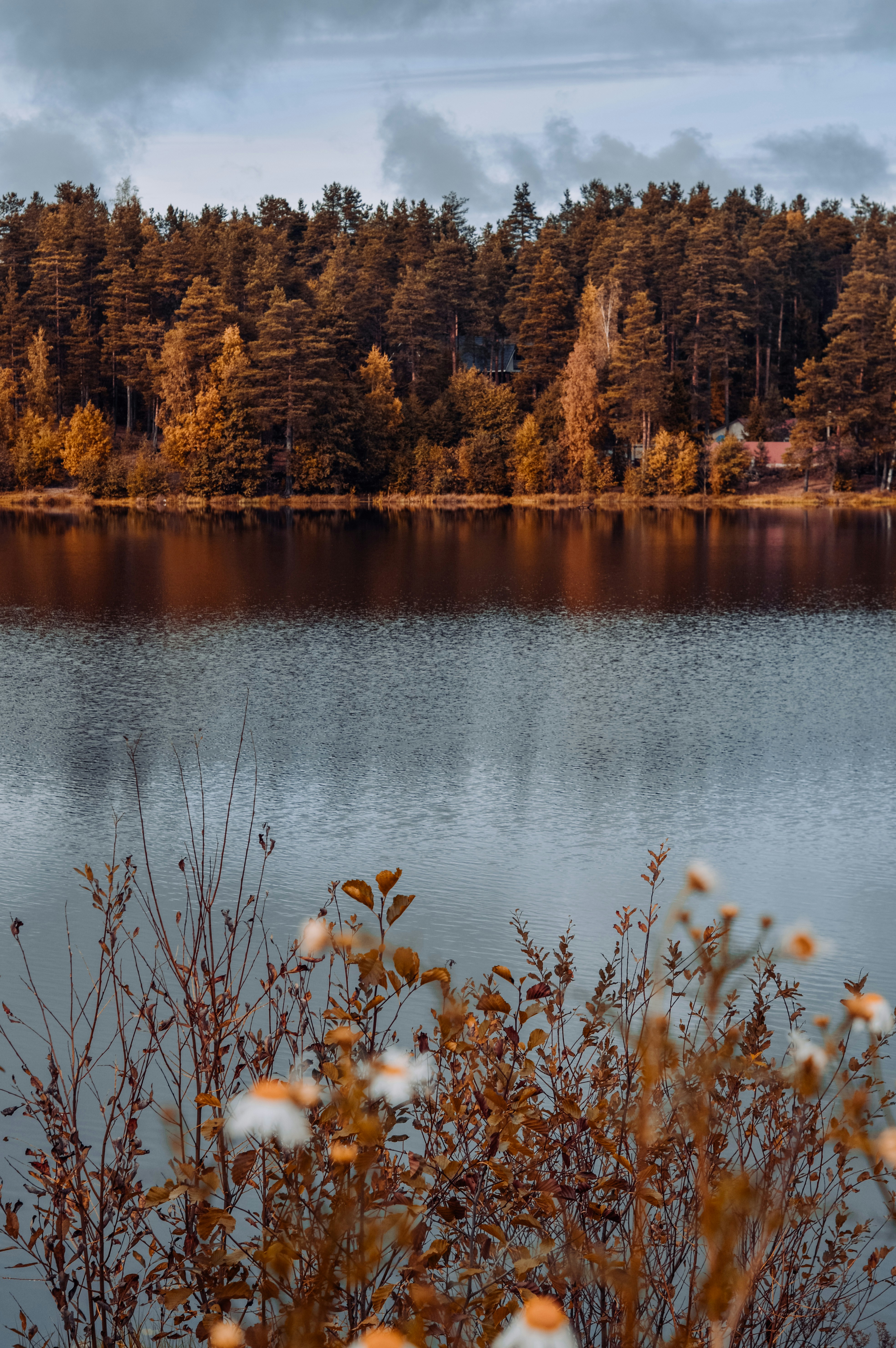 Photo by borodinanadi