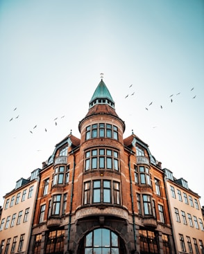 birds flying over brown concrete building during daytime