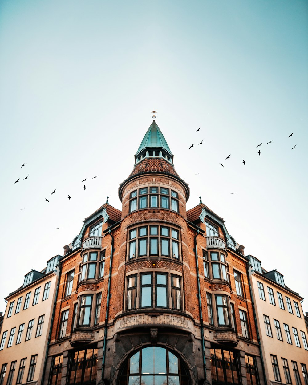 birds flying over brown concrete building during daytime