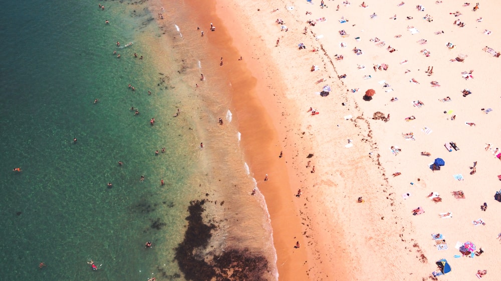 aerial view of beach during daytime