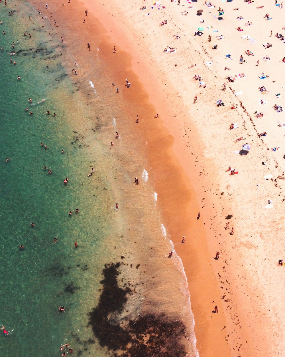 aerial view of beach during daytime