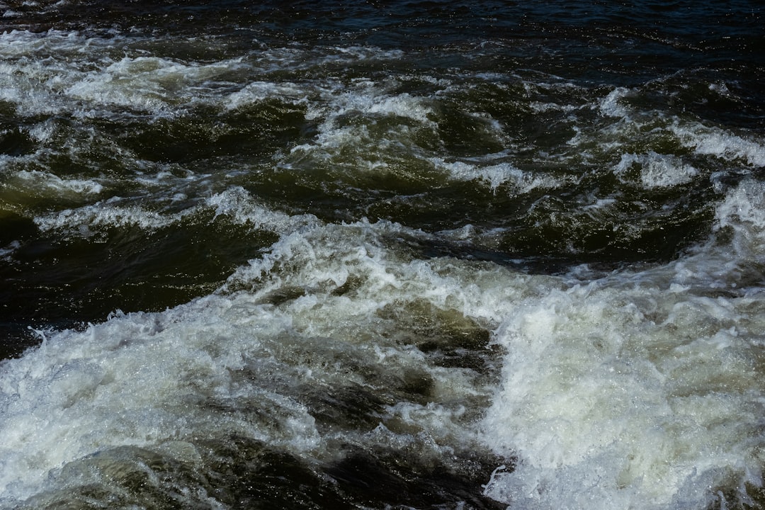 River photo spot BacÄƒu County Covasna County