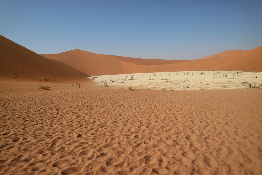 people walking on brown sand during daytime