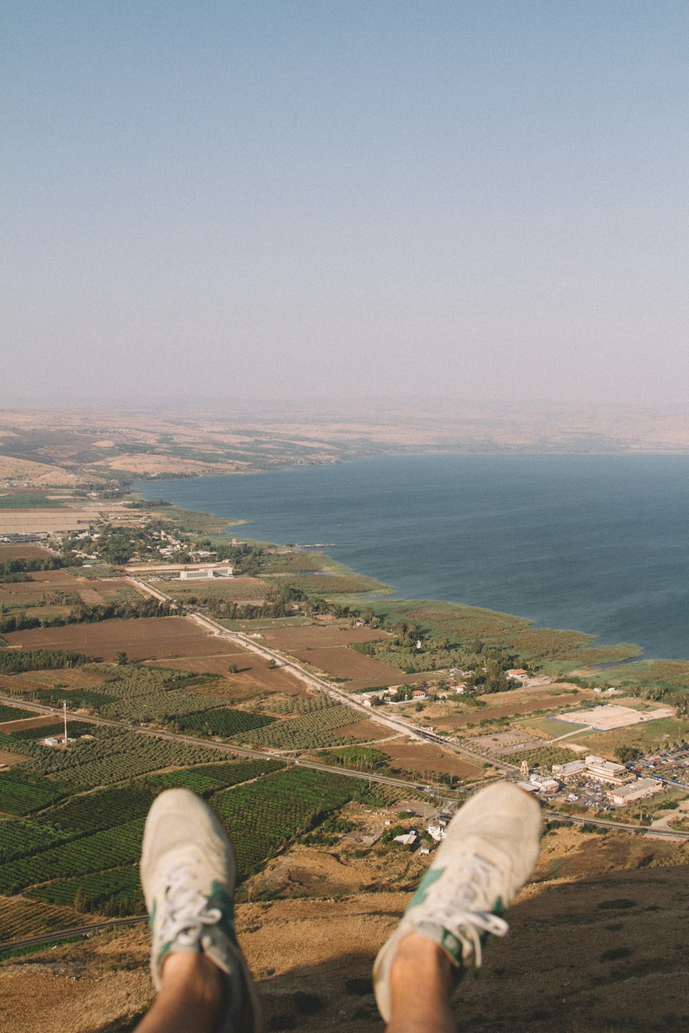 aerial view of green grass field near body of water during daytime