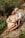 woman in yellow dress sitting on ground