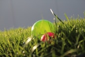 Close-up of a football and cricket ball resting on the green turf under bright lights.