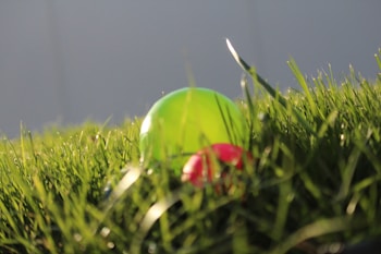 A close-up view of green grass with two colorful balls, one green and one red, partially visible among the blades. The grass is well-lit by sunlight, creating a natural and lively atmosphere.