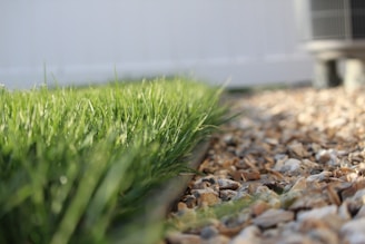 A close-up perspective of a neatly cut grassy lawn bordered by a line of small, multicolored stones. In the background, an out-of-focus structure or unit suggests a domestic outdoor setting.