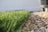 A close-up perspective of a neatly cut grassy lawn bordered by a line of small, multicolored stones. In the background, an out-of-focus structure or unit suggests a domestic outdoor setting.