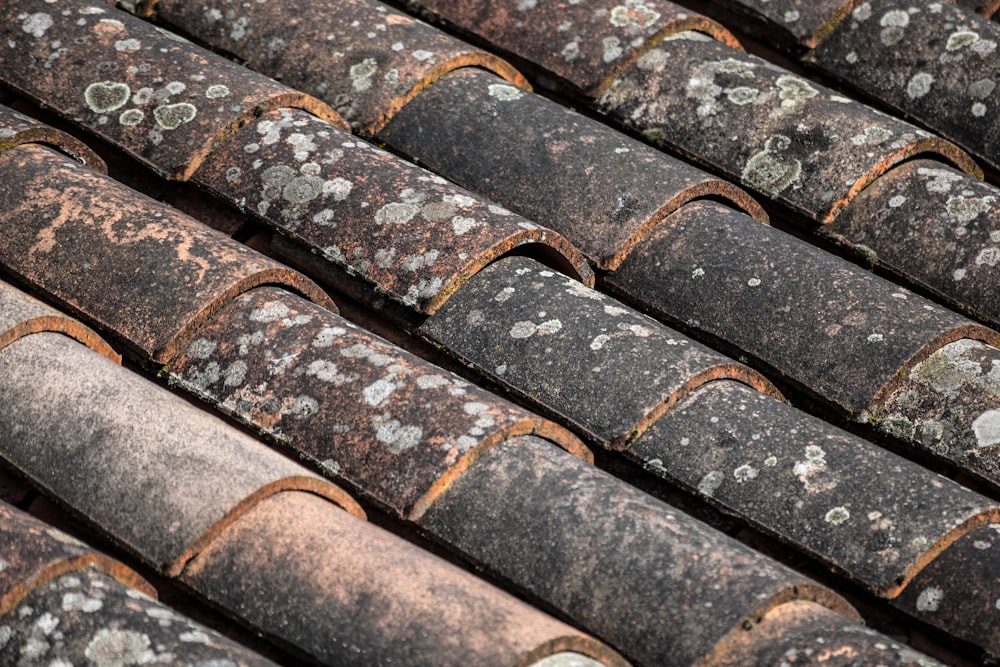 brown and black roof tiles