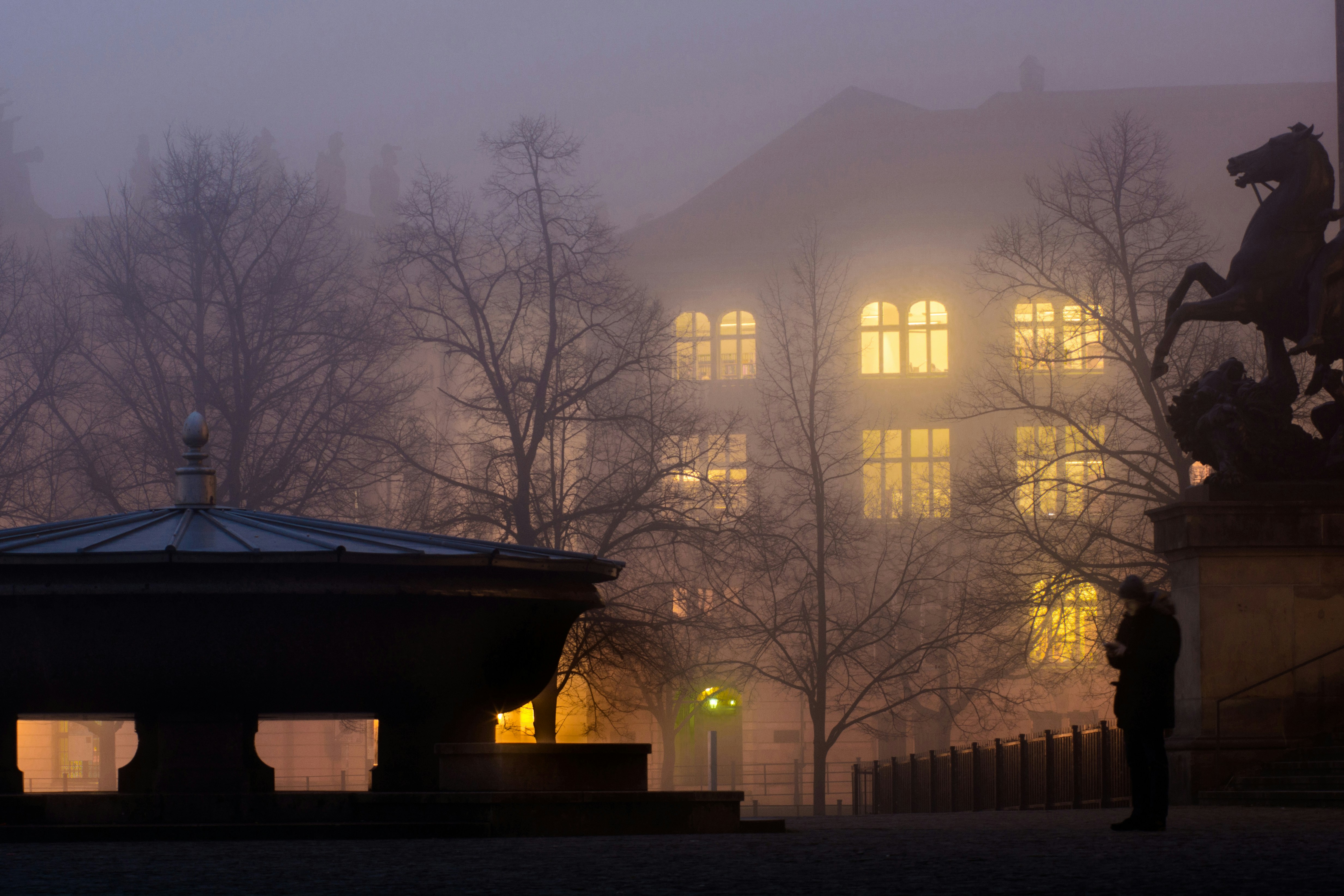 brown bare trees near white concrete building during night time