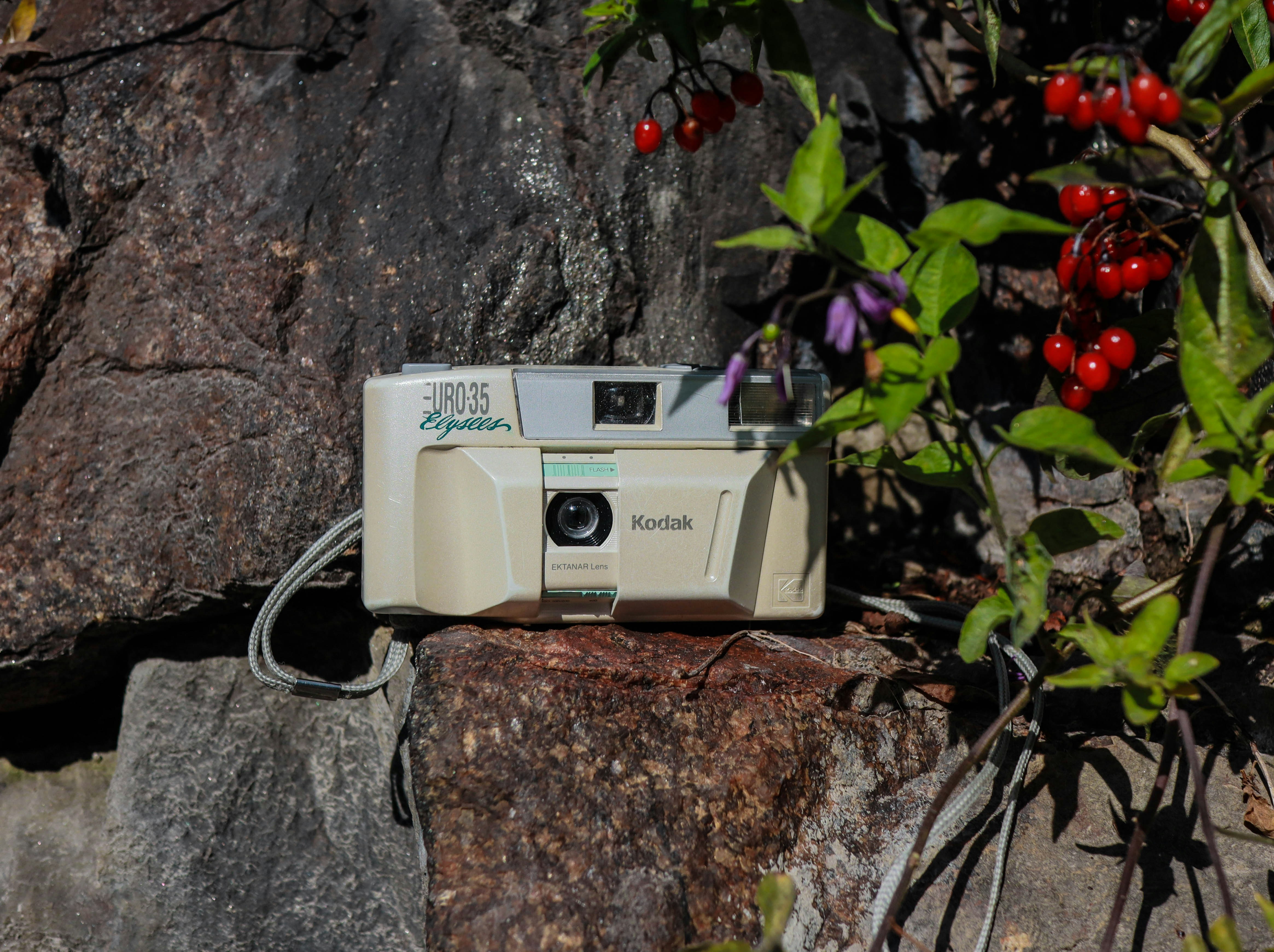 white and black canon camera on brown and gray rock