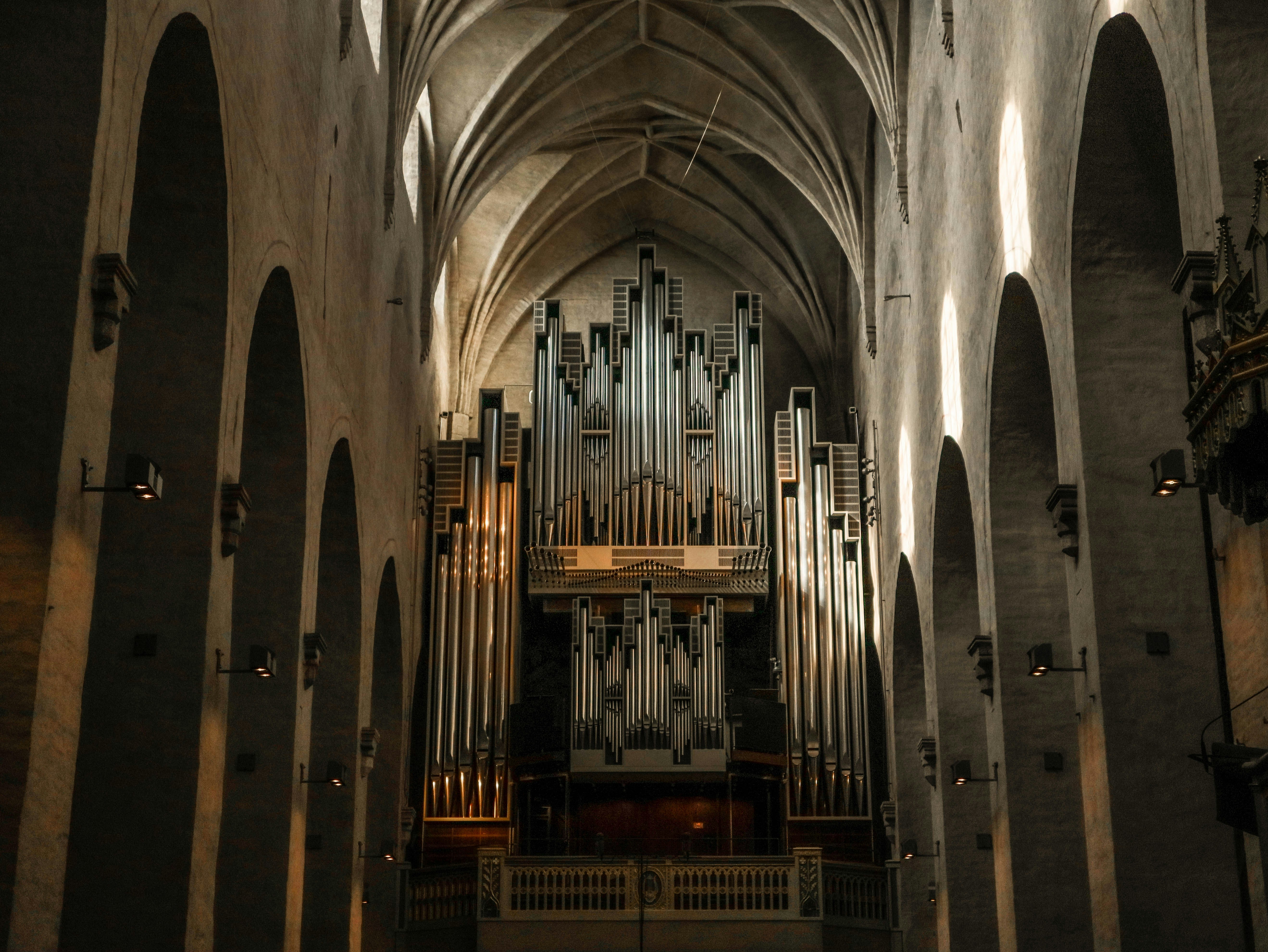 Photo by ignatkushanrev