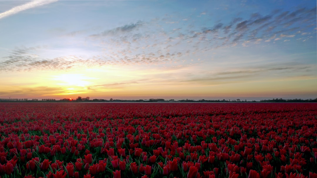 Ecoregion photo spot Andijk Ameland