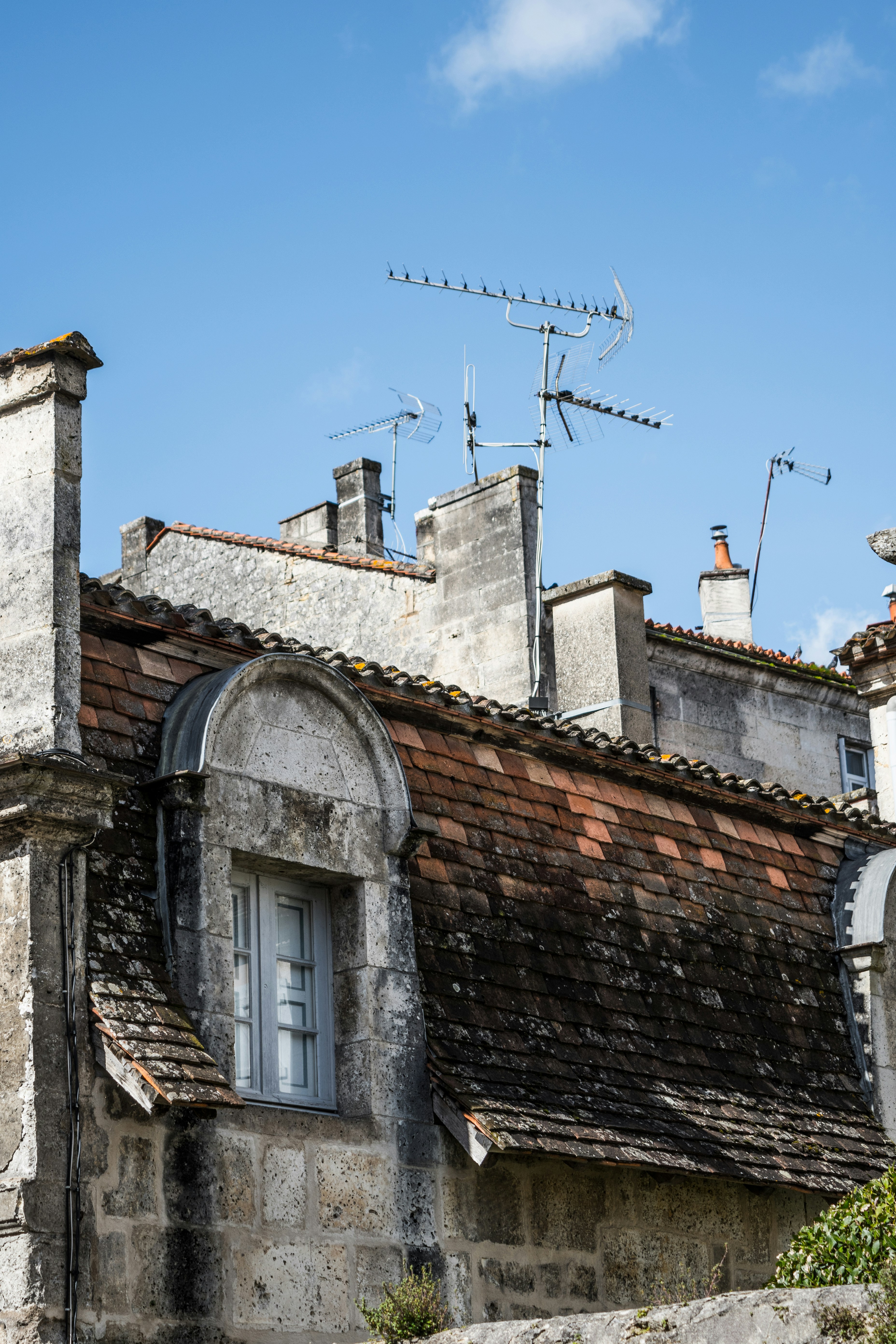 Photo by jv_photographer