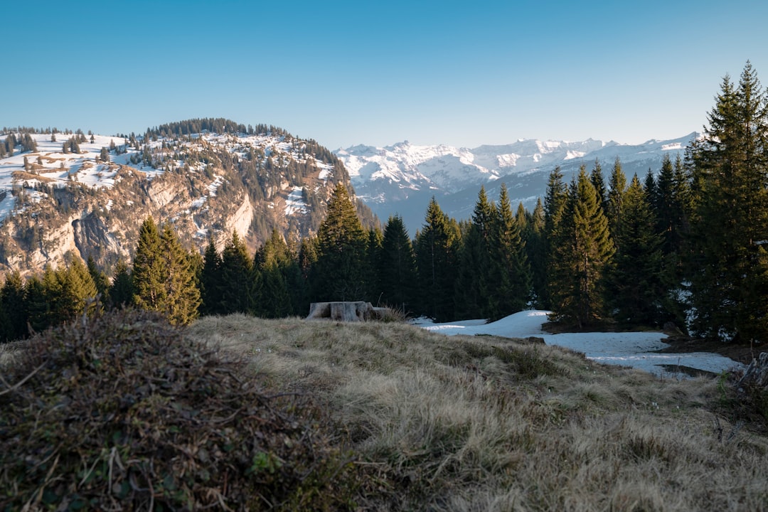Mountain range photo spot Hotel Sennis Alp Flims