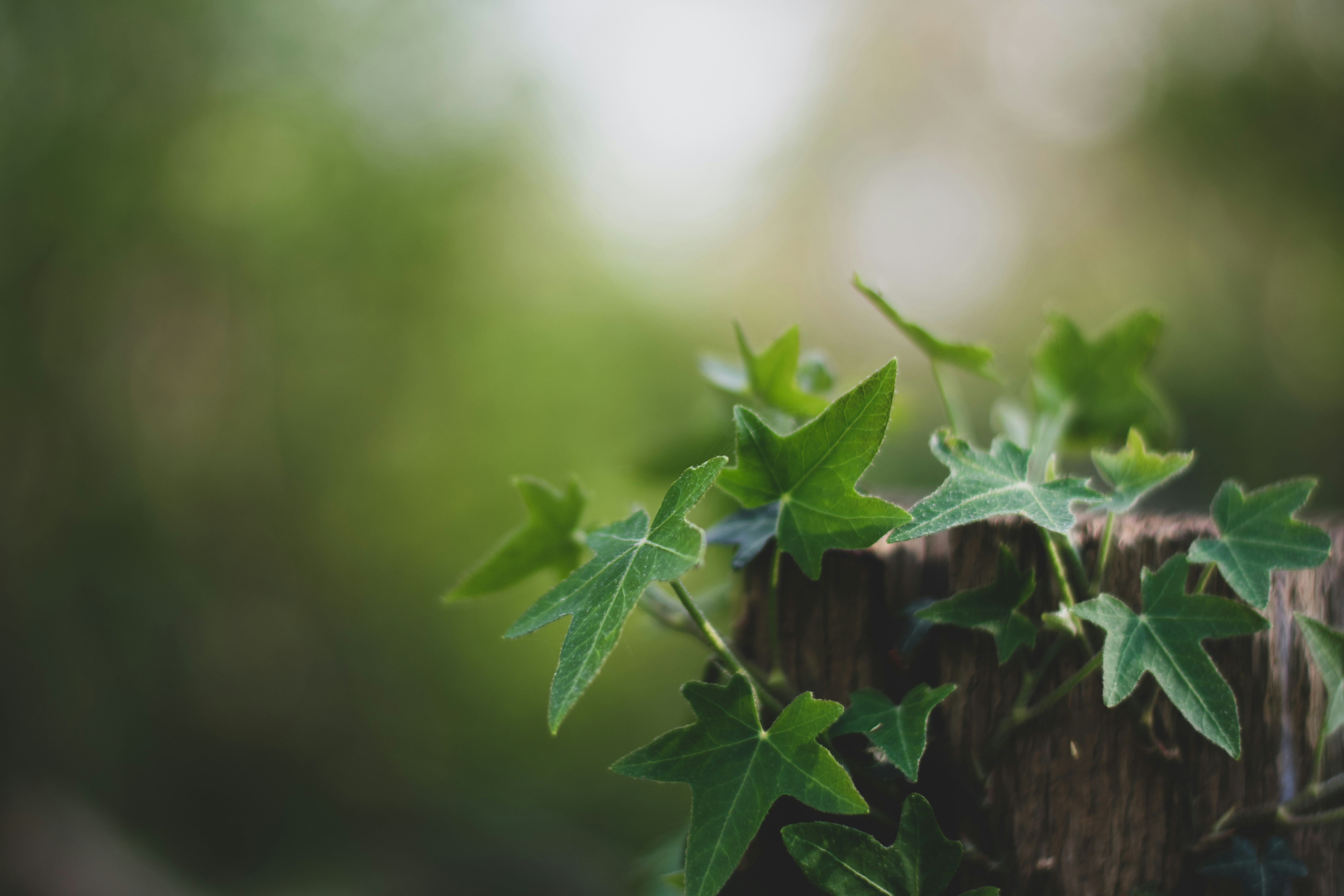 Photo by tugcegungormezler