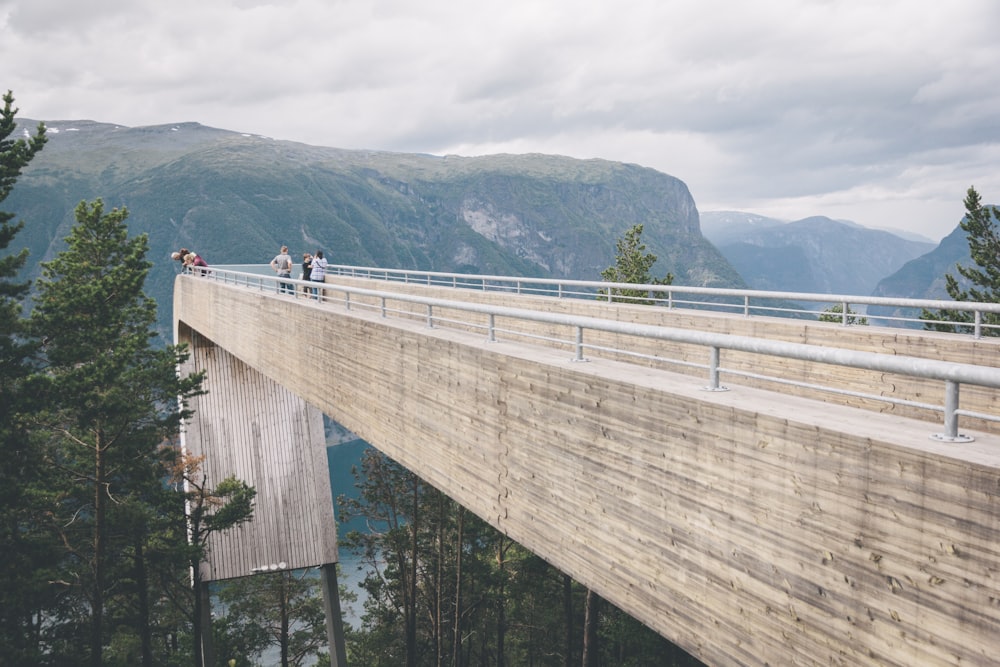 people walking on wooden bridge over the river