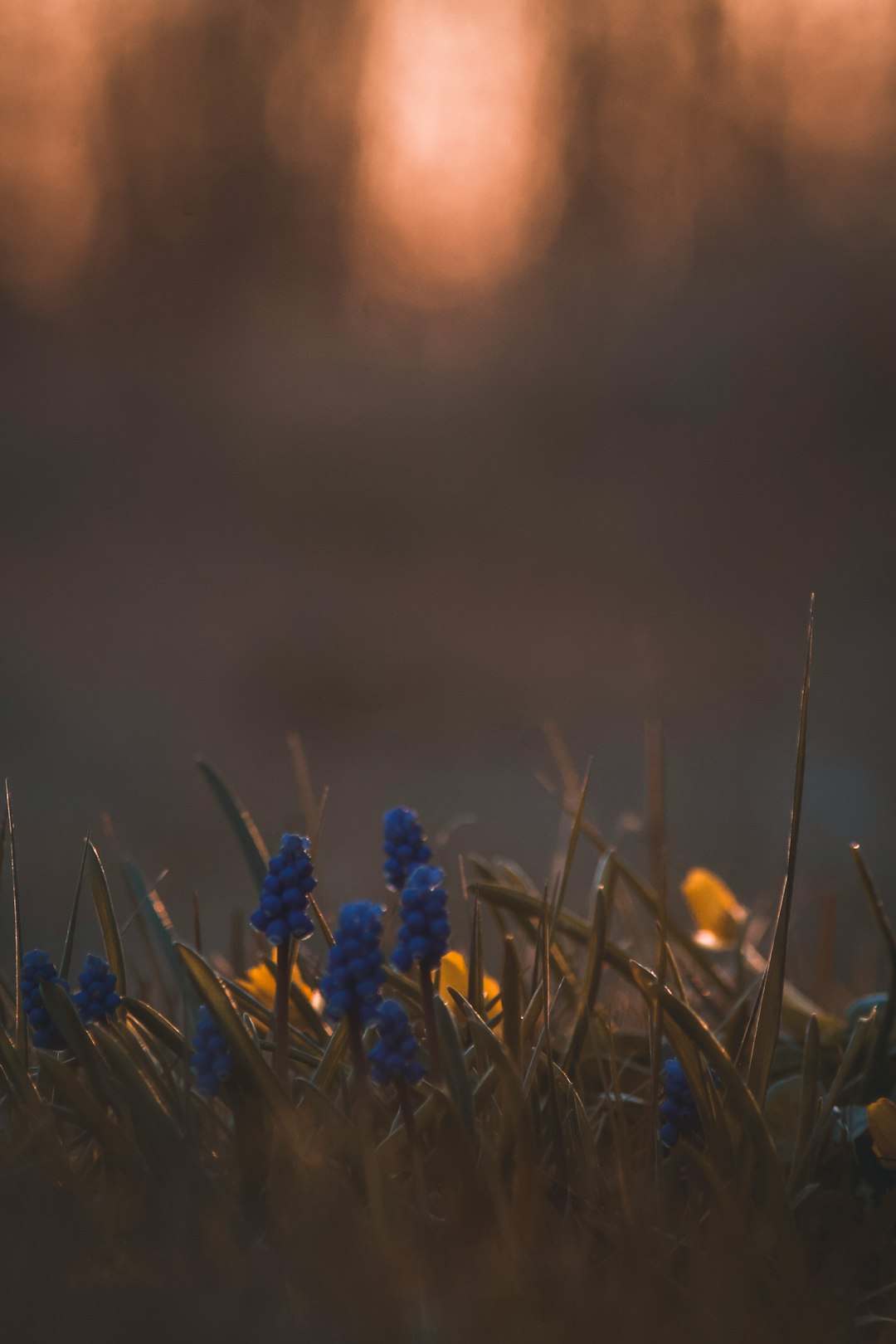 Landscape photo spot Latvia Salaspils