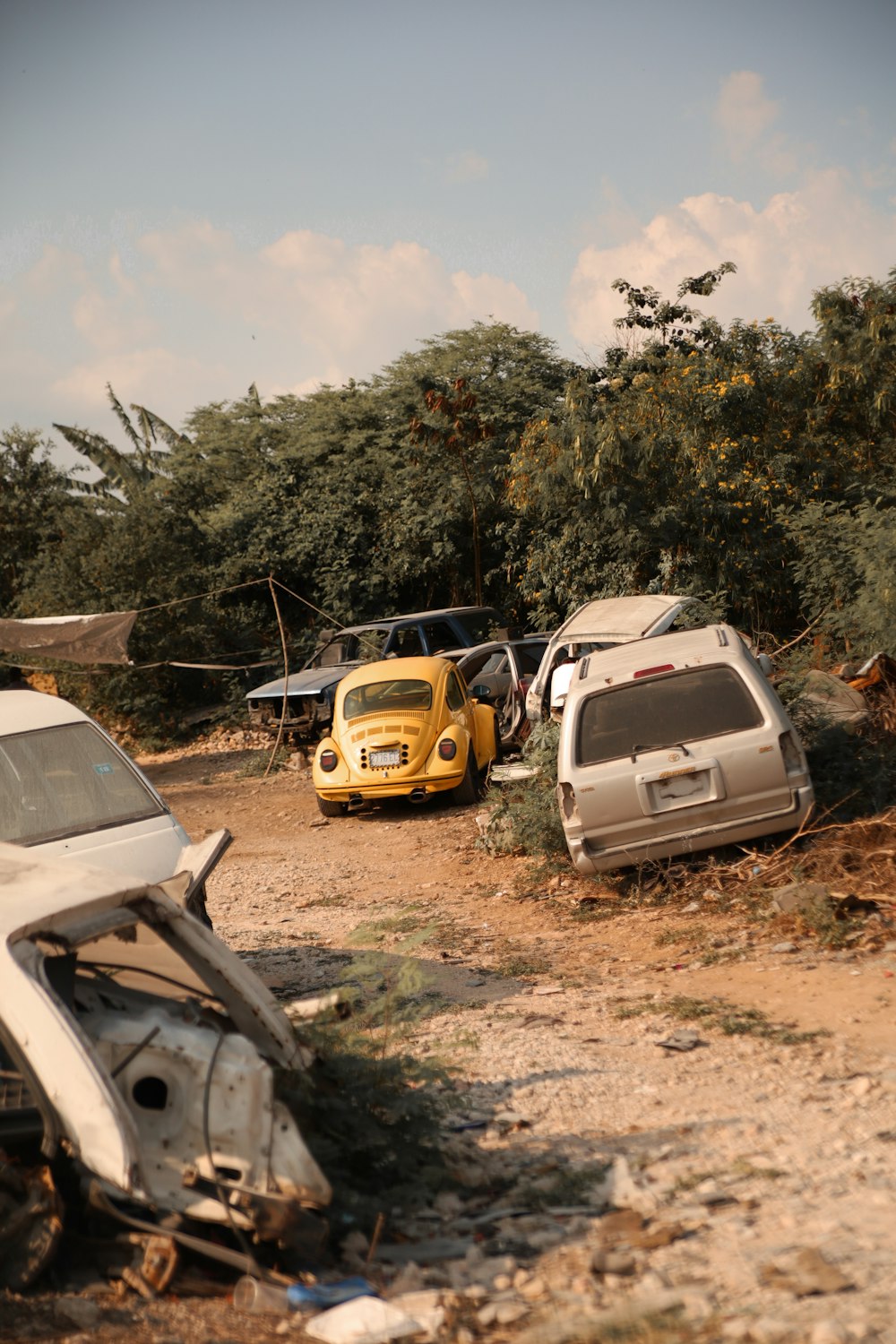 yellow and white suv on dirt road during daytime