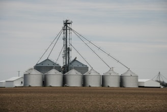 A cluster of large silver grain silos stands on a barren field, connected by a network of metal piping. The sky is overcast, contributing to a muted atmosphere. The structures are cylindrical with domed roofs, typical of agricultural storage facilities.