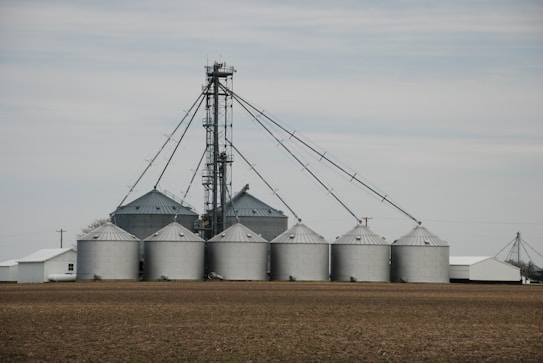 A cluster of large silver grain silos stands on a barren field, connected by a network of metal piping. The sky is overcast, contributing to a muted atmosphere. The structures are cylindrical with domed roofs, typical of agricultural storage facilities.