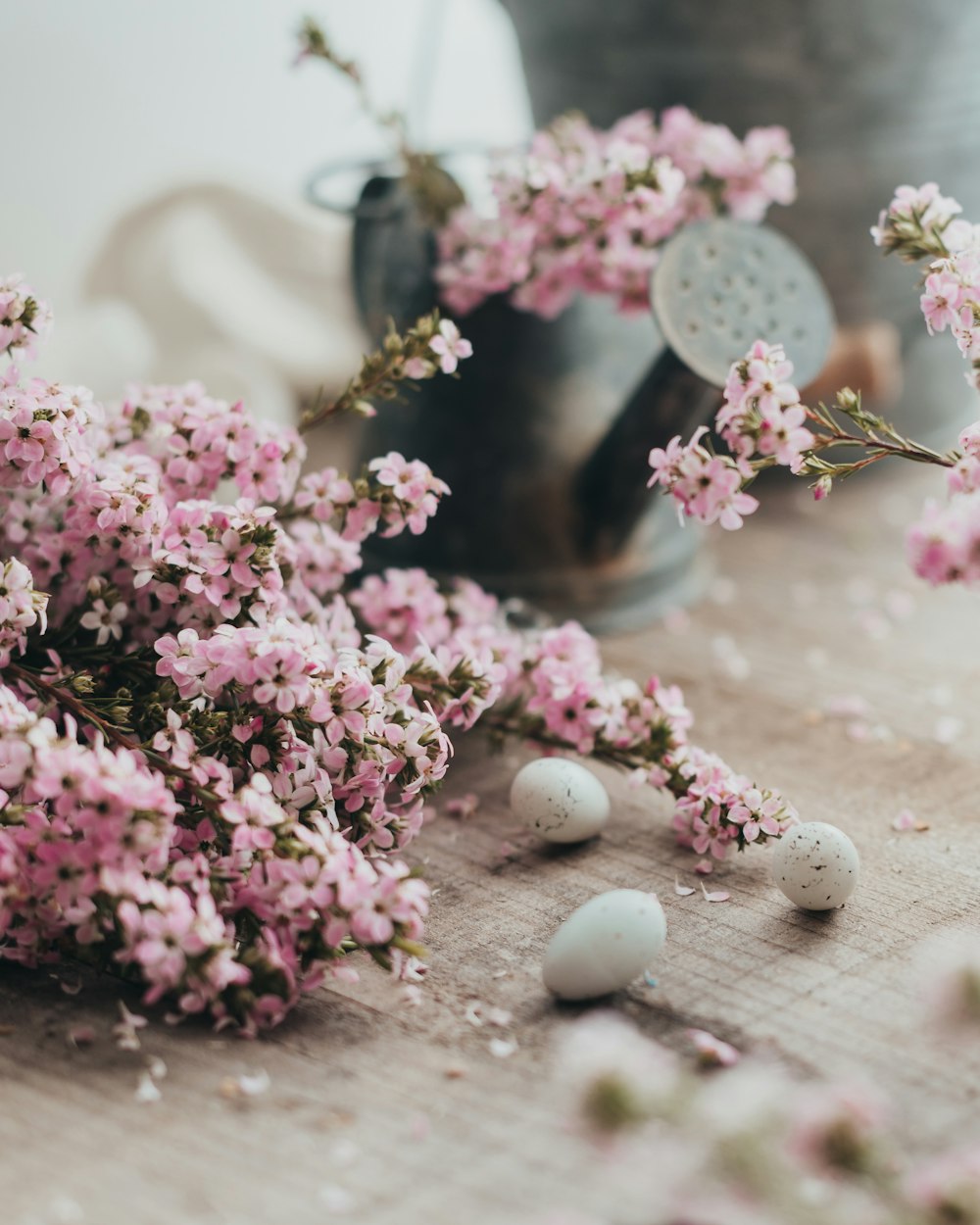 pink and white flowers on clear glass jar