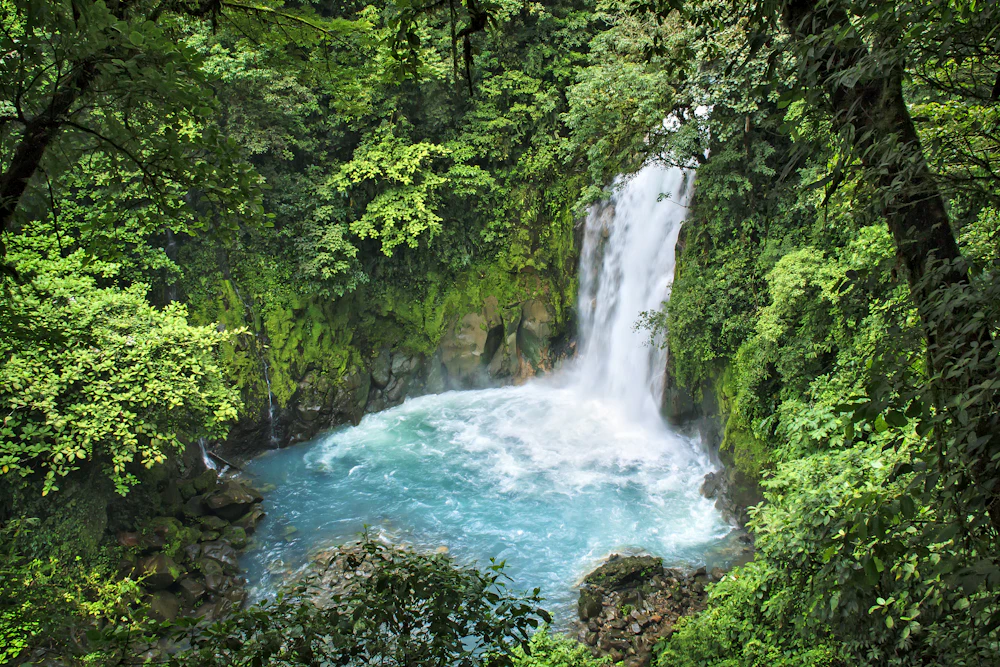 Catarata entre árboles en el bosque tropical