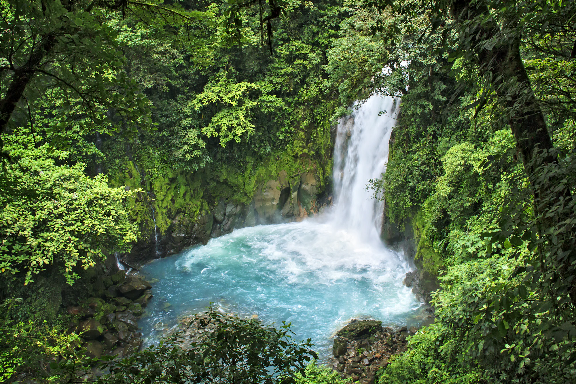 Catarata en el bosque tropical de Costa Rica