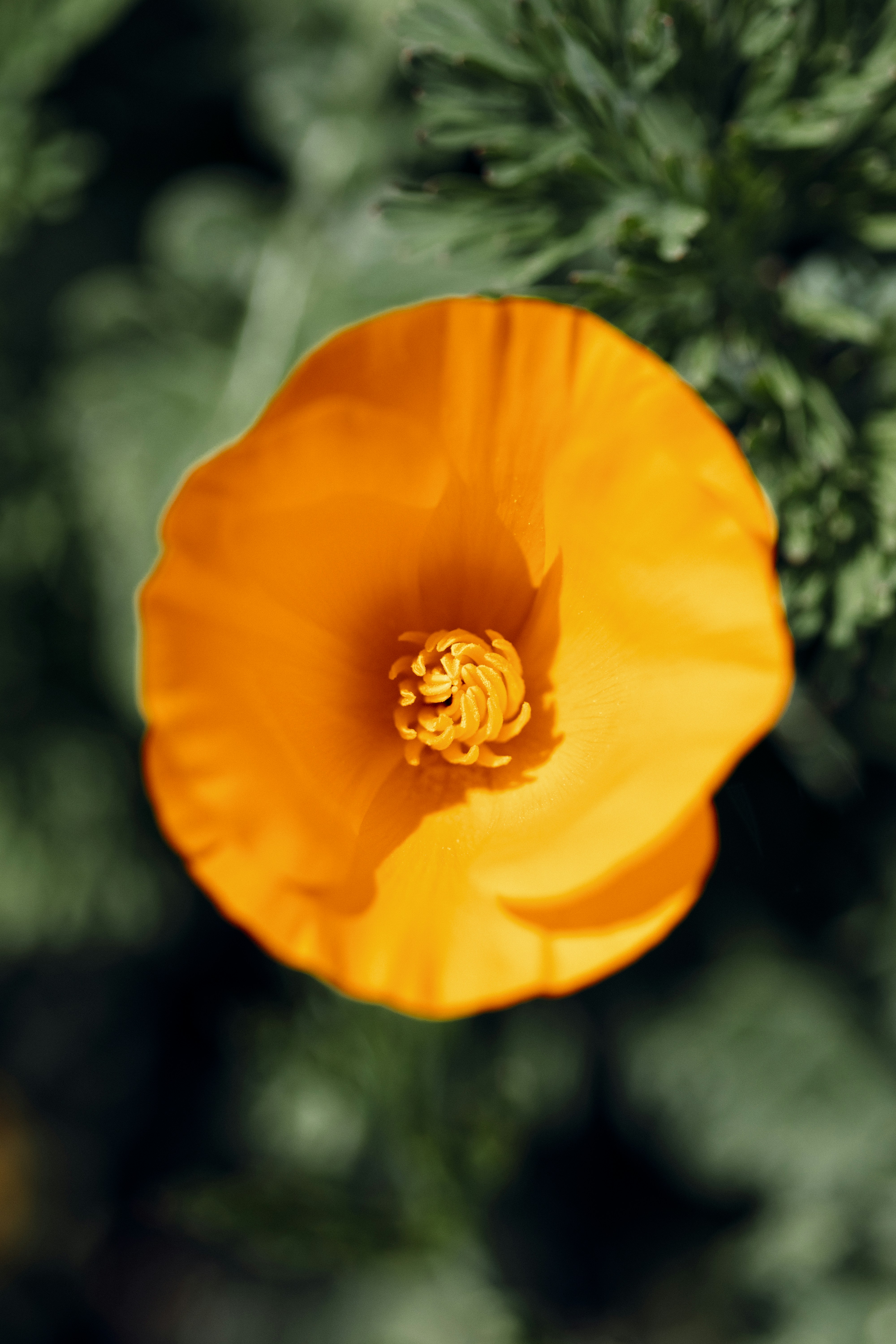 Photo by dzngriffin