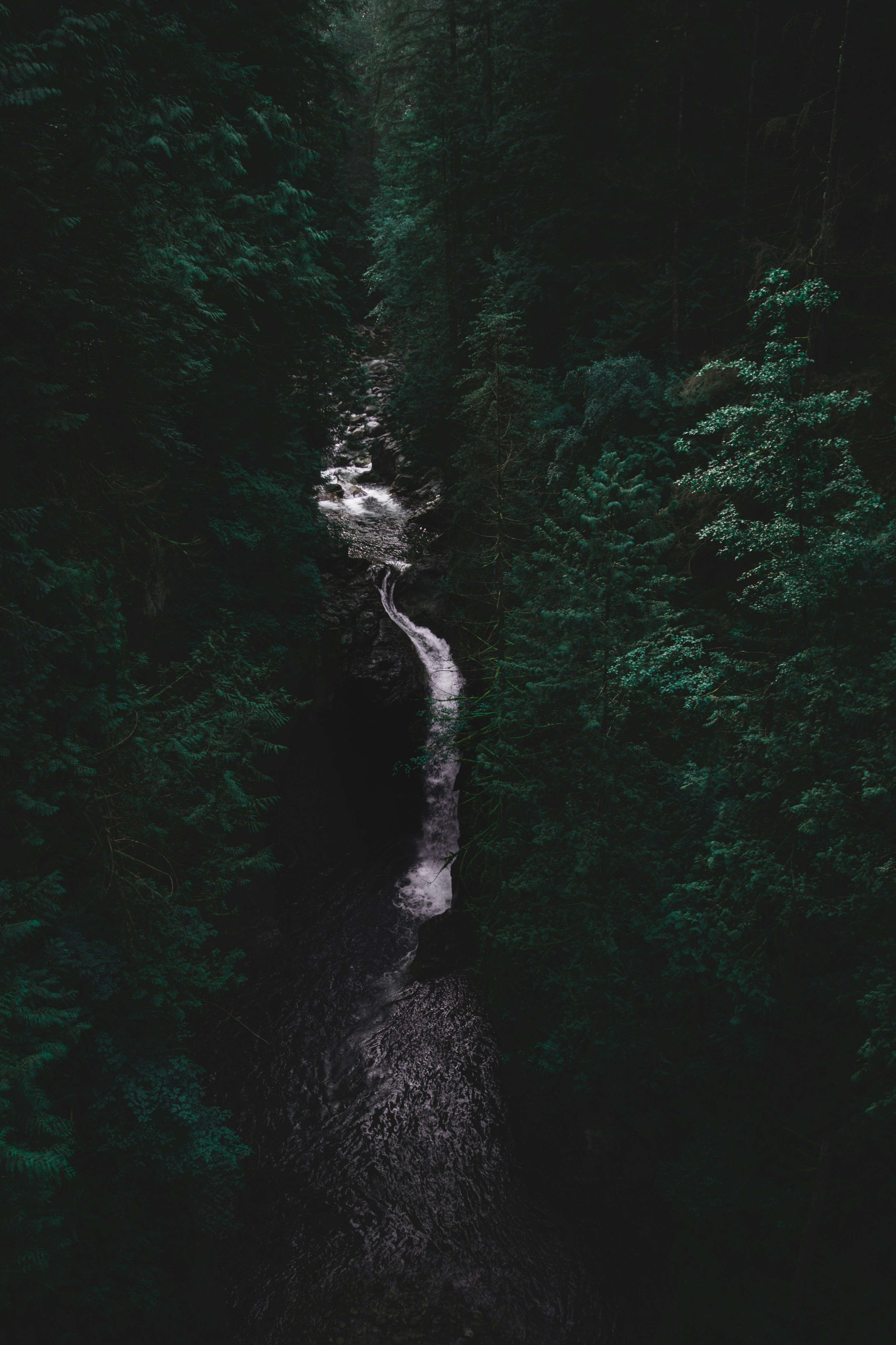 Photo by john_vicente26