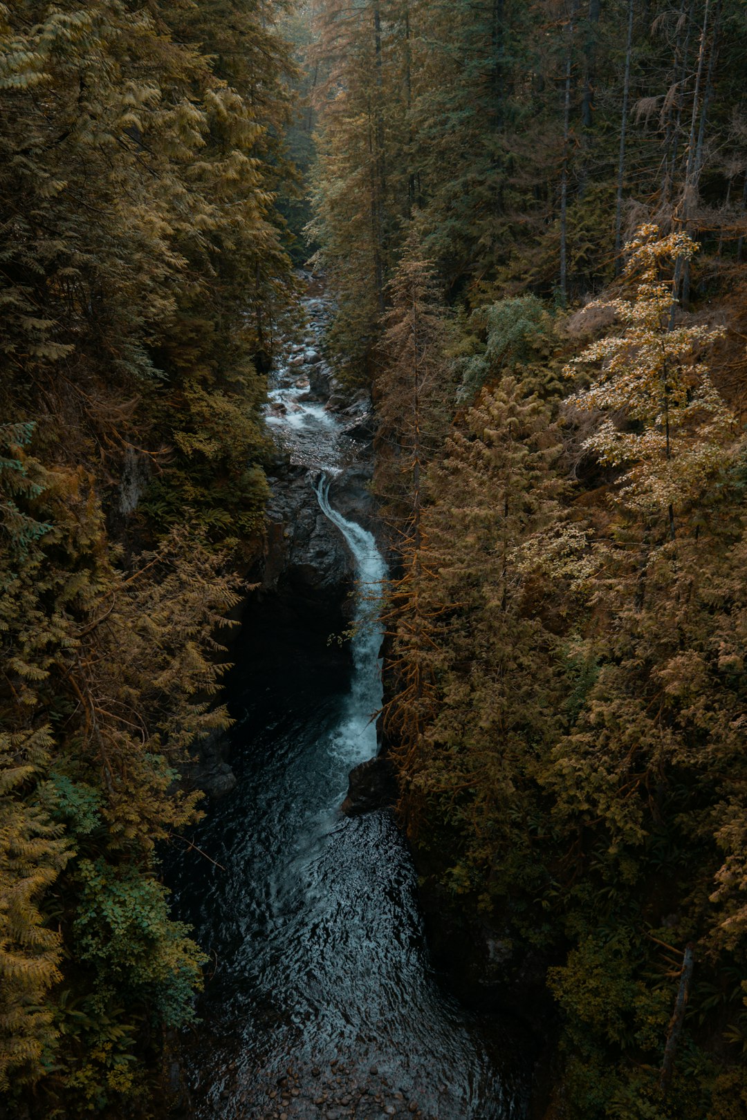 Waterfall photo spot Vancouver Rainbow Falls