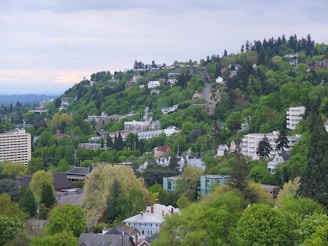 A picturesque hillside neighborhood with numerous trees and greenery surrounding residential buildings. The landscape is dotted with a mix of houses and mid-rise apartments, and dense foliage covers the hill. In the foreground, there are rooftops with varied architectural styles, while the background reveals a distant view of the horizon.