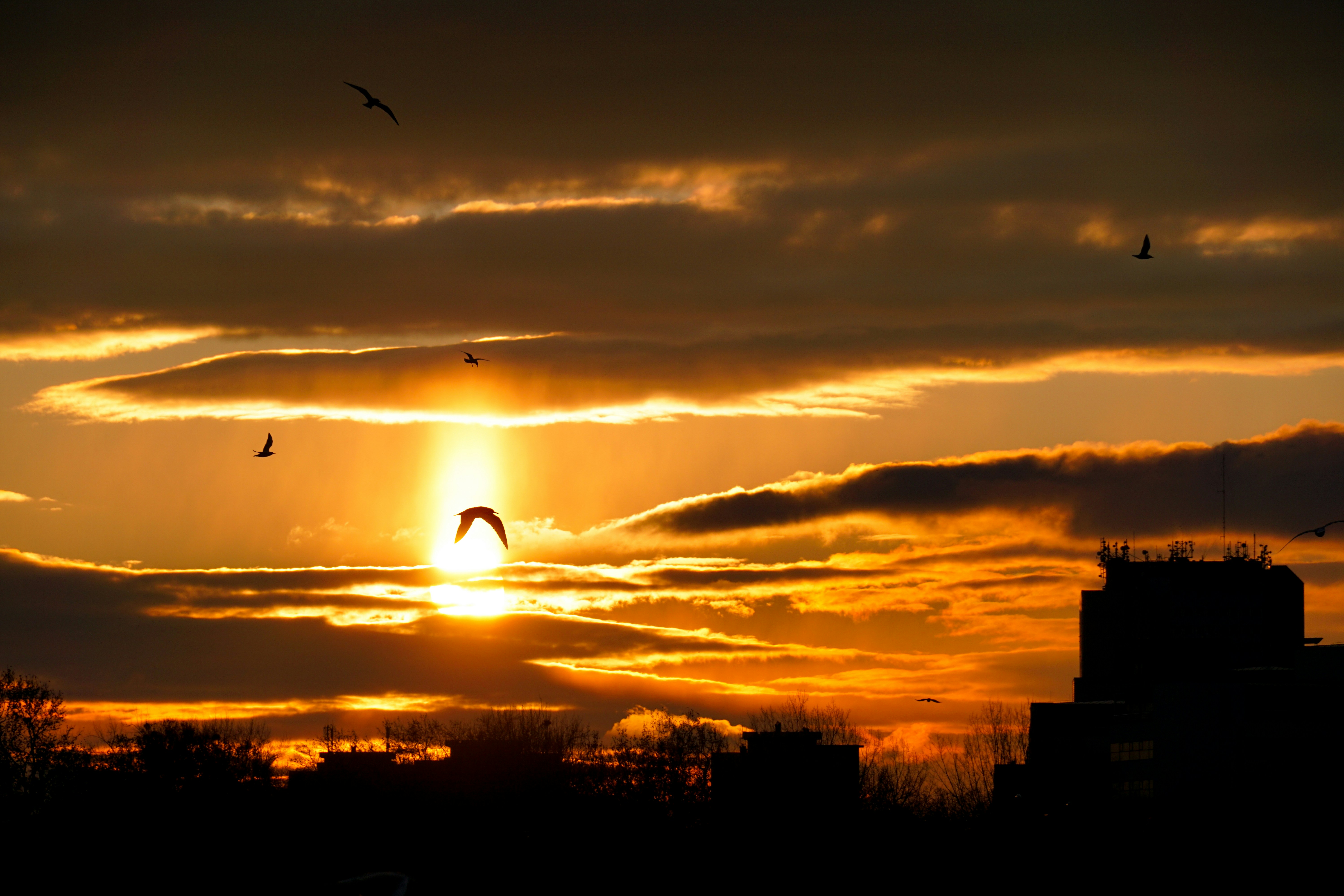 silhouette of person jumping on air during sunset