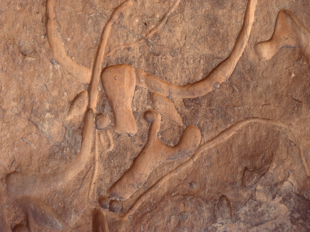 Mur de béton brun et blanc