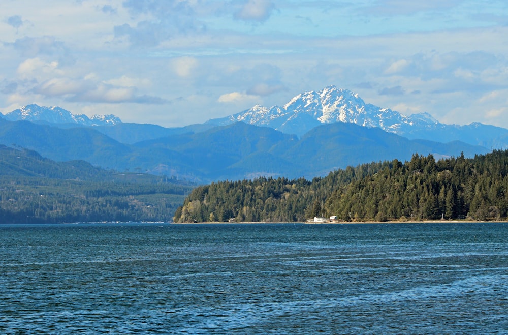 green trees on mountain near body of water during daytime