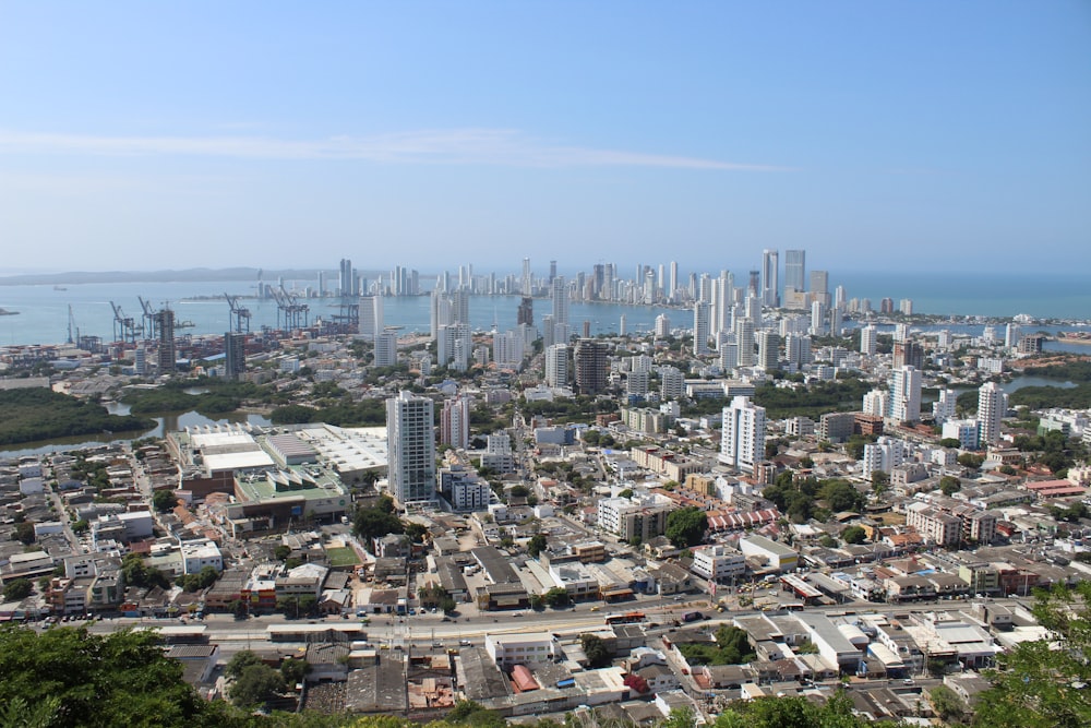 city skyline under blue sky during daytime