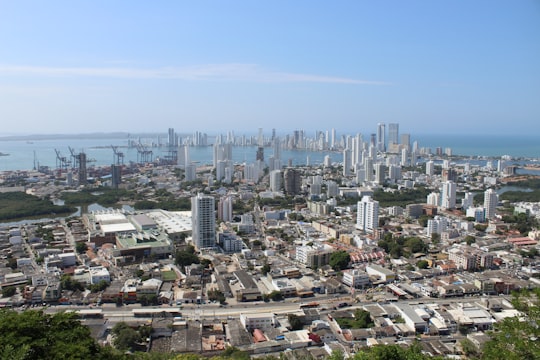 city skyline under blue sky during daytime in Cartagena de Indias Colombia