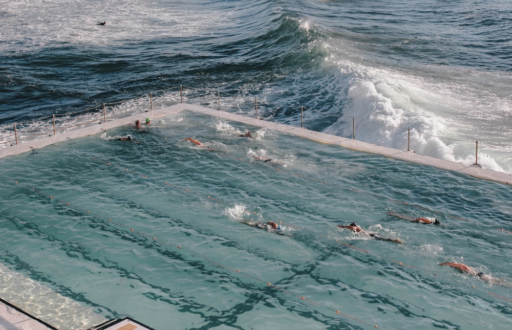 people swimming on beach during daytime