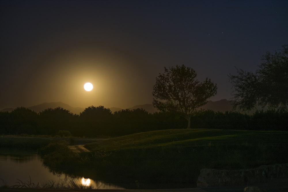 green grass field with trees during night time