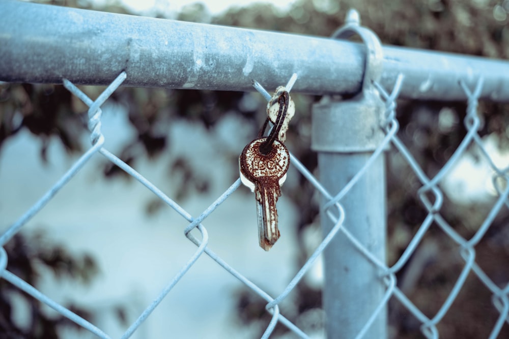 grey metal chain link fence