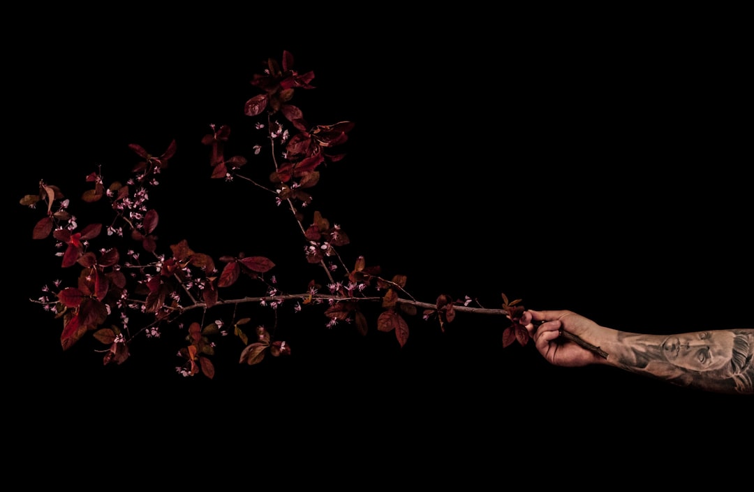 red leaves on persons hand