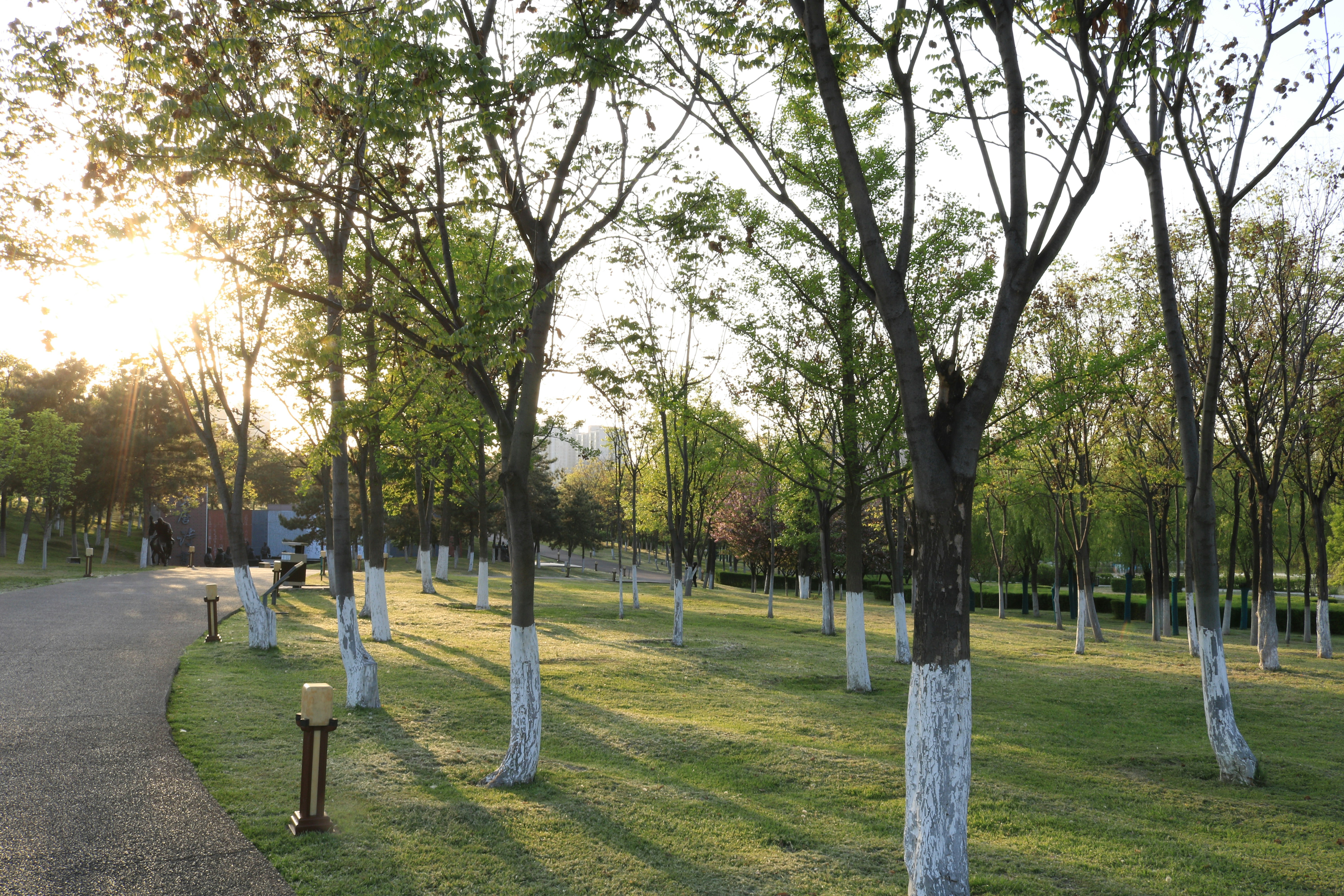 people walking on green grass field near green trees during daytime