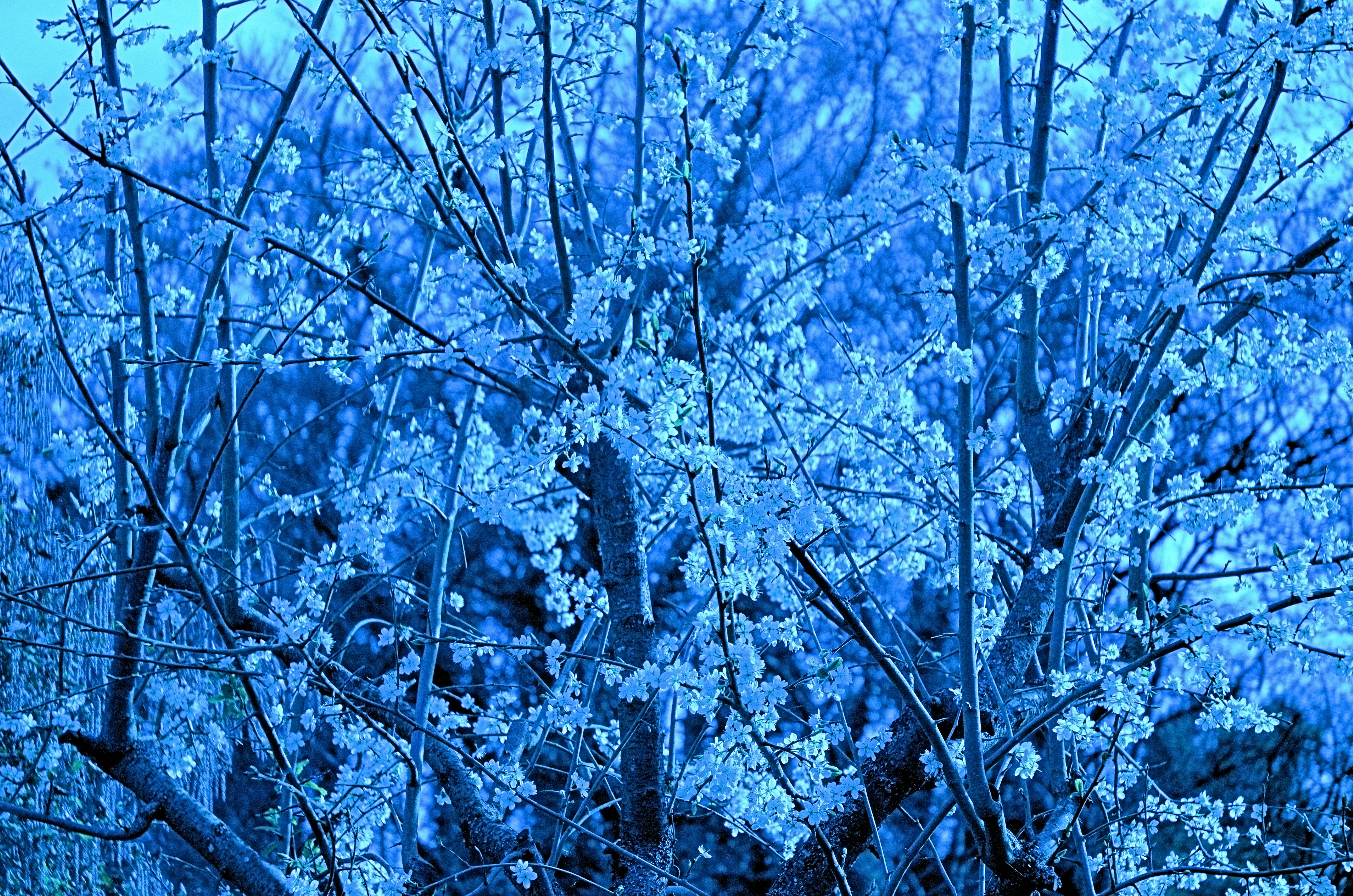 Photo by paul_longhurst