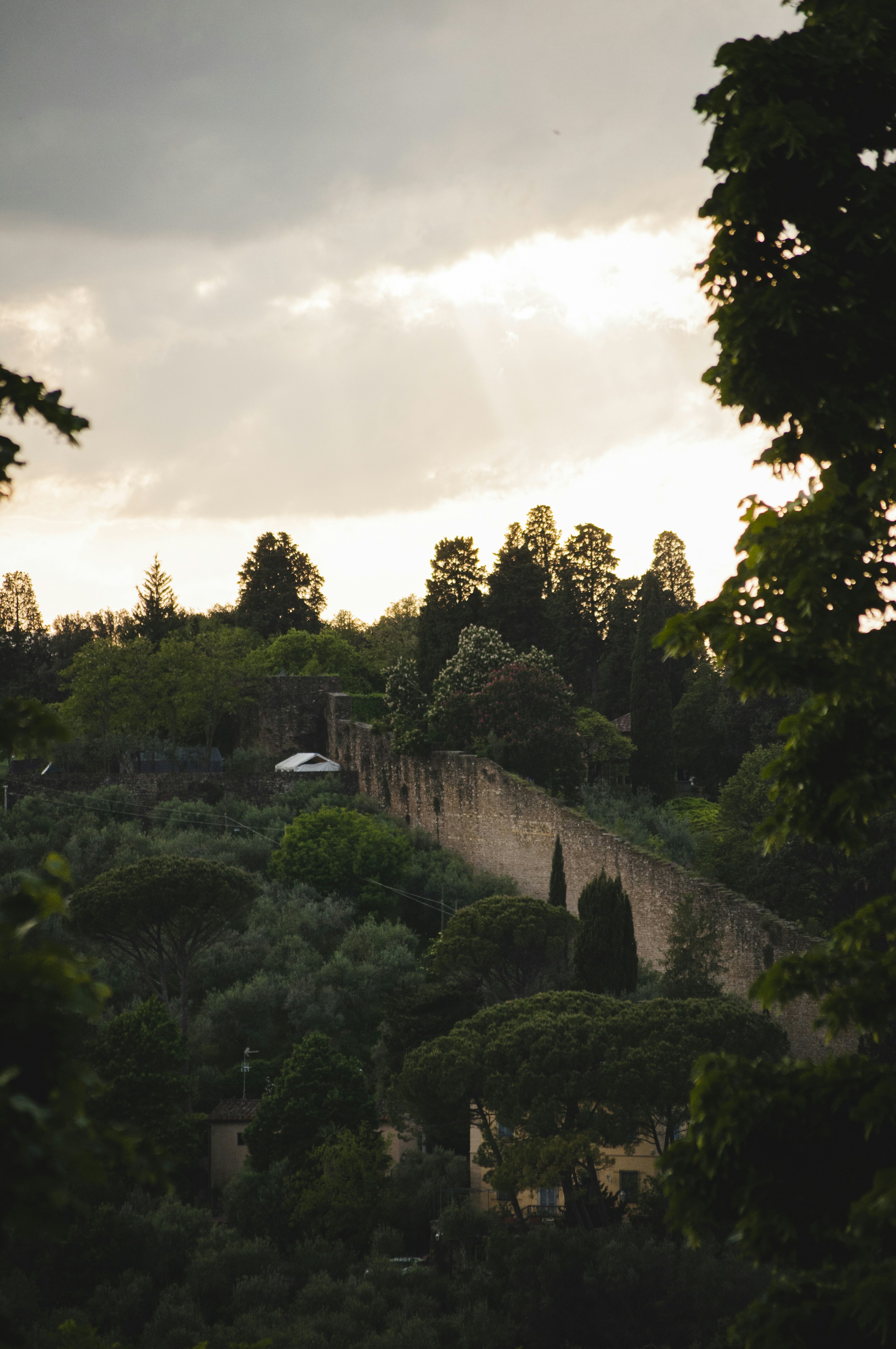 Photo by yuli_superson